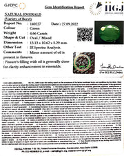 4.66/CT Natural Panna Stone with Govt. Lab Certified (3441)